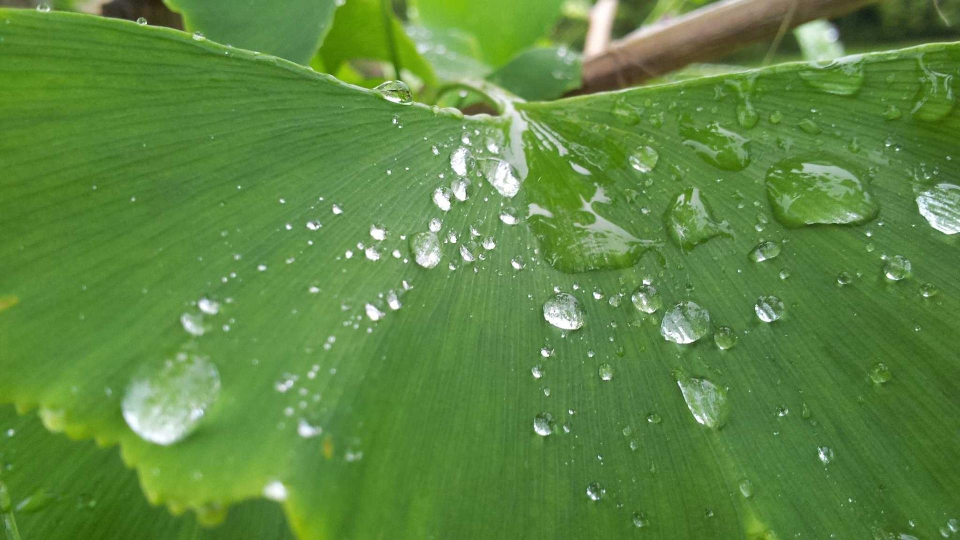 世界杯赛场全景照片，座无虚席的体育场中央绿茵场上球员正在激烈比赛，巨大的电子记分牌显示比赛信息