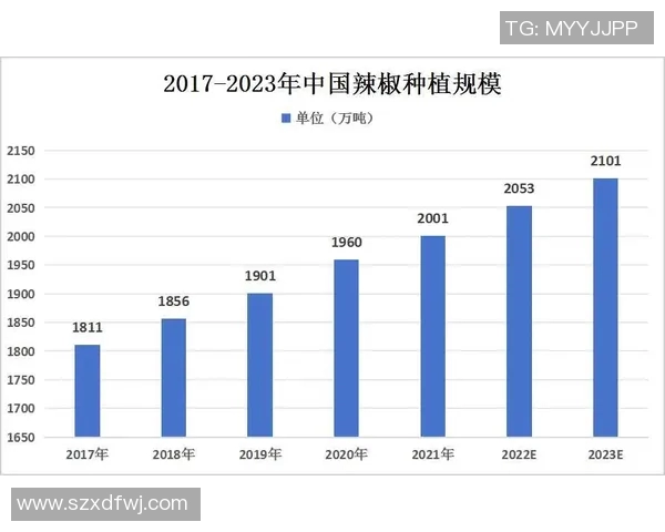 聚焦CSGOIG的现状与未来发展趋势探讨与分析