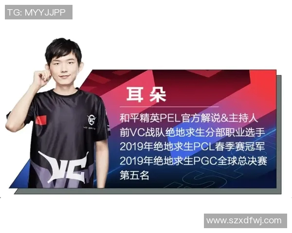 李军深度解析和平精英游戏策略与技巧分享，助你成为战场高手