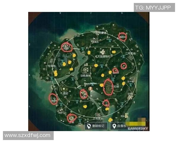 esports数据和平精英中FPX阵地战的优缺点分析与战术反思